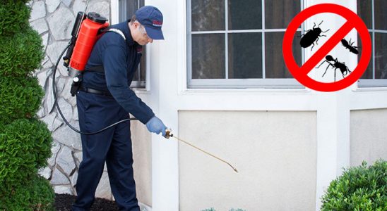 Sandıklı Böcek İlaçlama böcek ilaçlama ve haşere kontrolü — ilaclama-tr.com